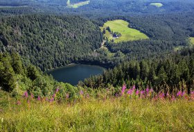 Phoca Thumb M Blick Zum Feldsee 5690 2019